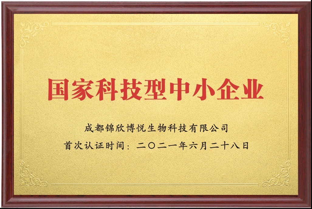 国家科技型中小企业